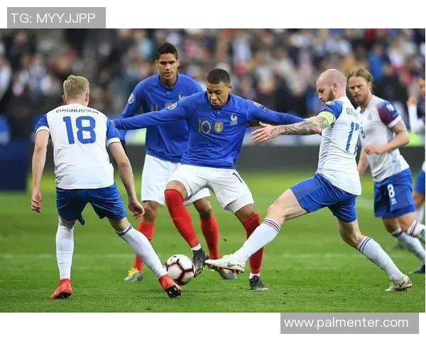 法国对阵芬兰分析法国队最新阵容及战术布局探讨