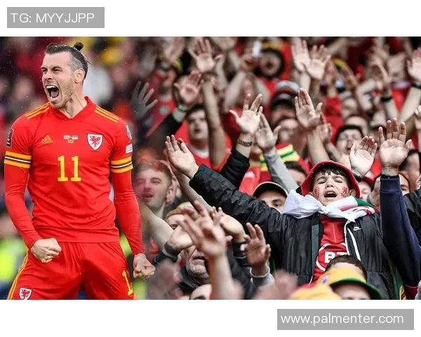 法国与威尔士精彩对决视频回顾赛场瞬间不容错过