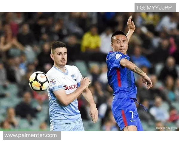 天狼星与诺科平激战正酣比分揭晓引发球迷热议